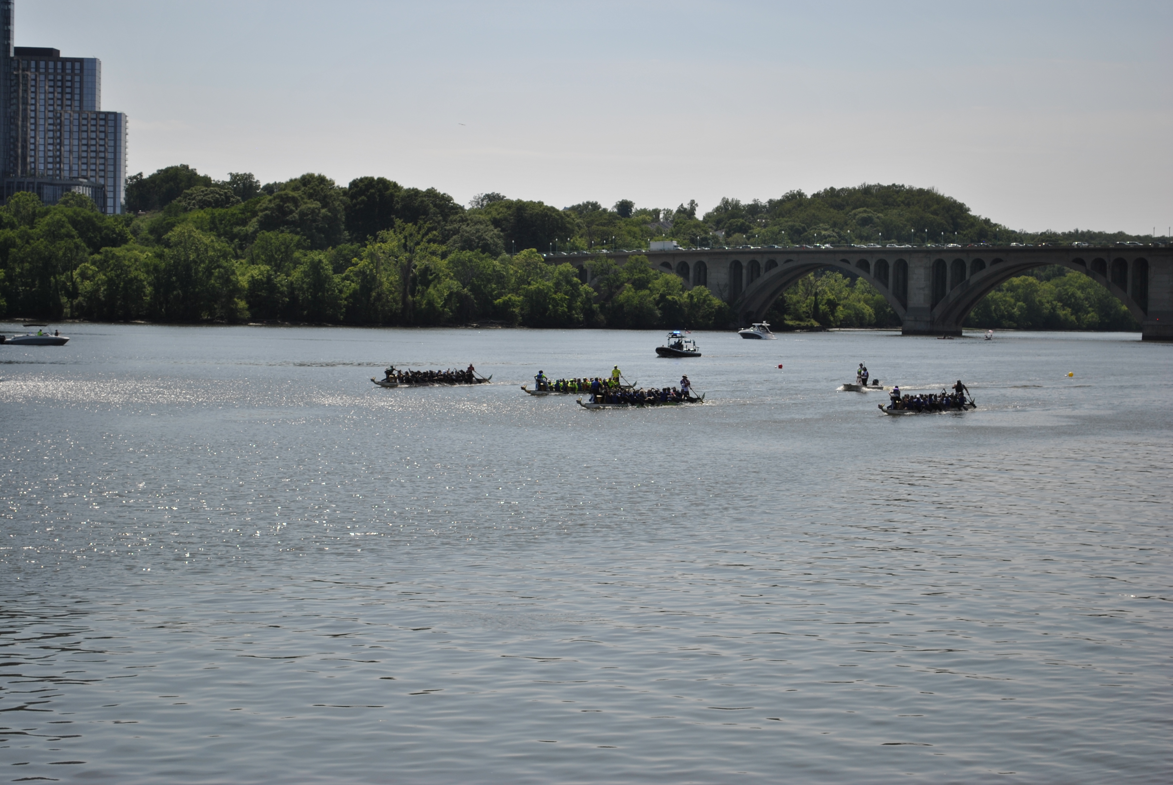 DC Dragon Boat Festival at Georgetown Waterfront Park